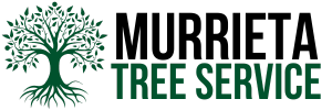 Business directory image